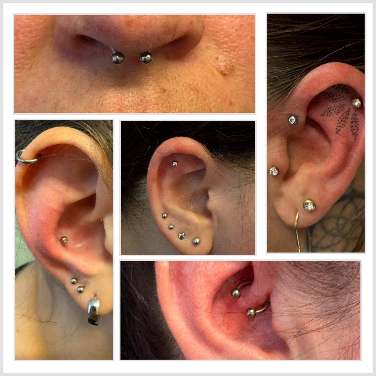Piercing Leonessa