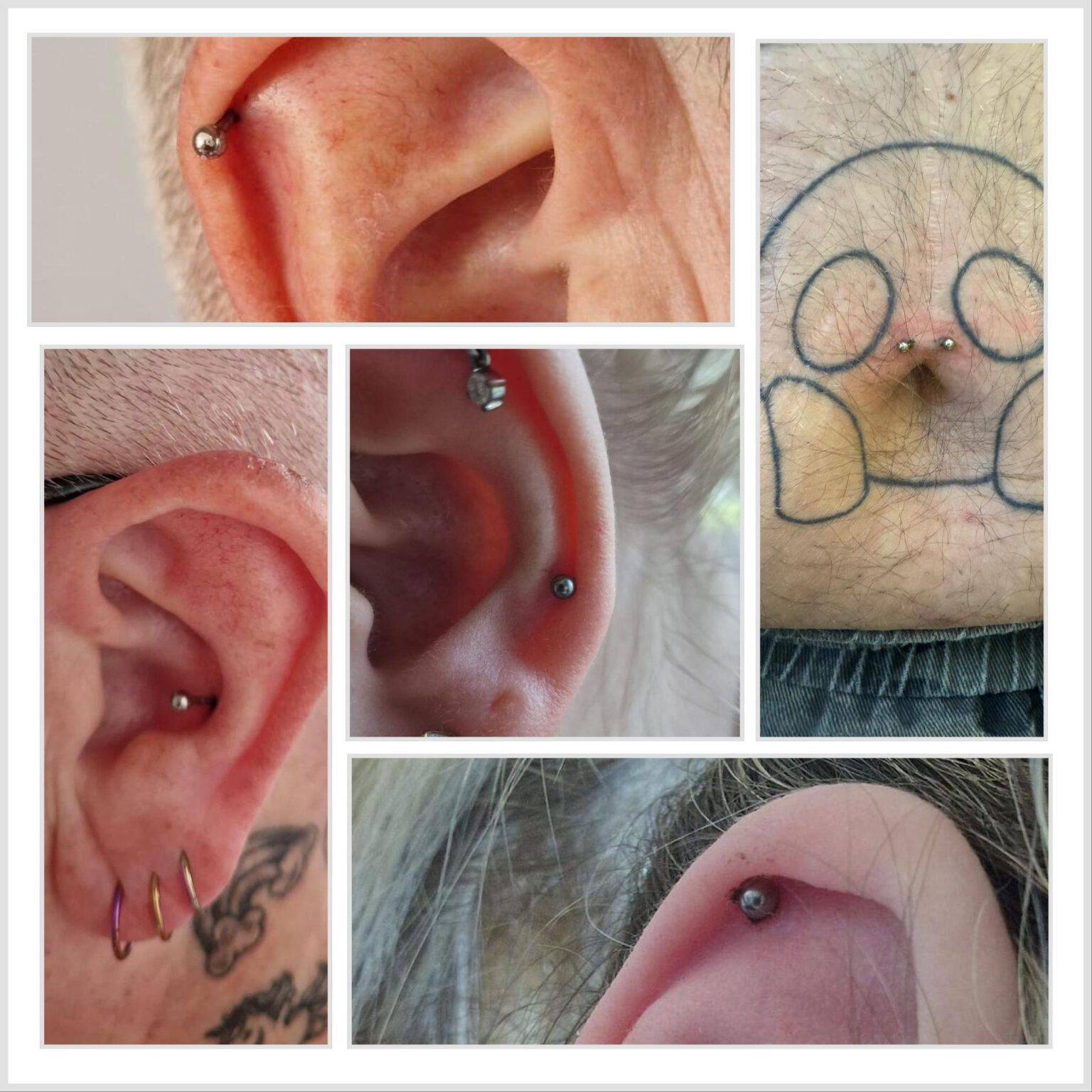 Piercing Leonessa